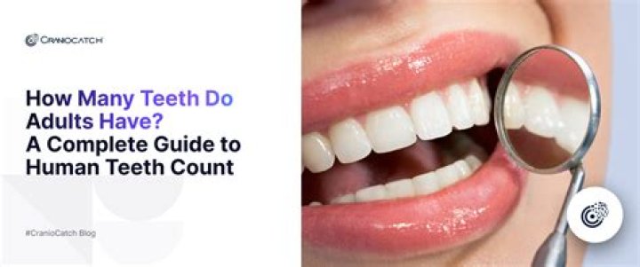How many teeth do you have on too?