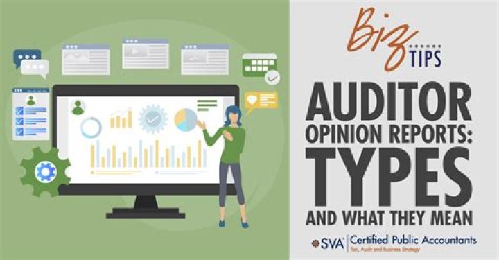 How many types of audit report are there?