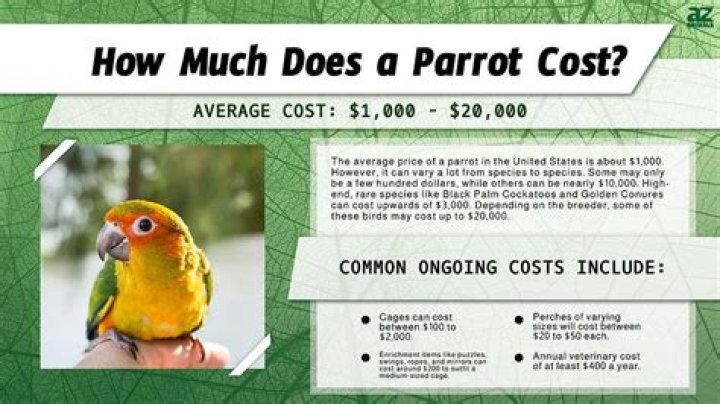 How much does it cost to own a In-N-Out?