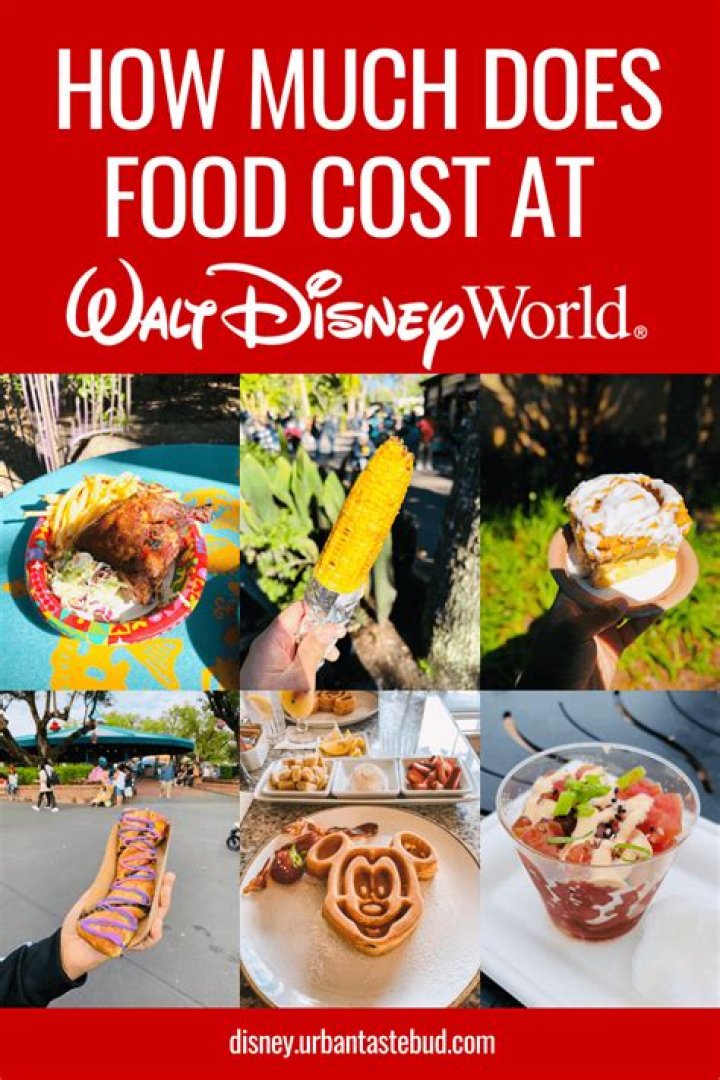 How much does water cost at Disneyland?