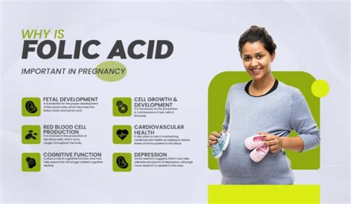 How much folic acid should you take if you are trying to get pregnant?