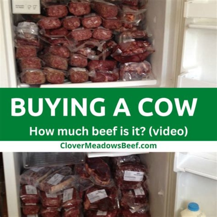 How much is it to buy a dove?