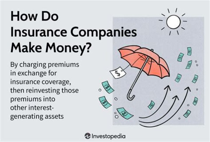 How much money do insurance companies make?