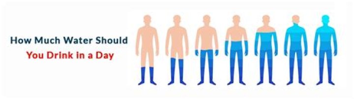 How much water should a gymnast drink a day?