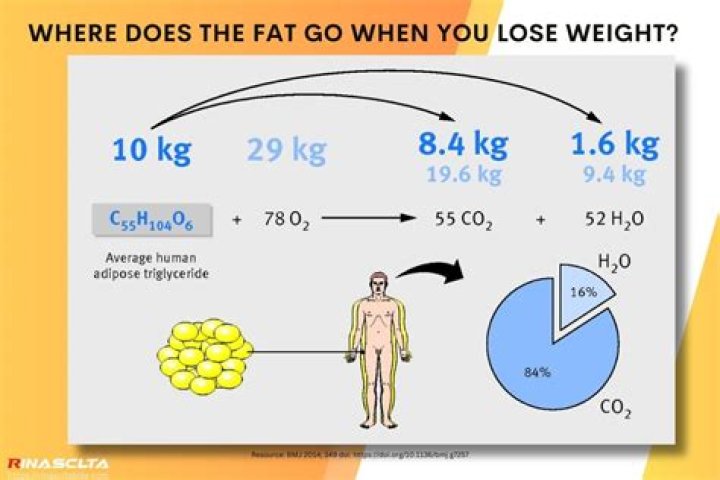 How much weight does the body lose after death?