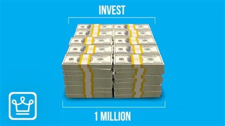 How much would a VC make for a 1 million dollar investment?