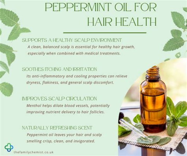 How often apply peppermint oil to mice?