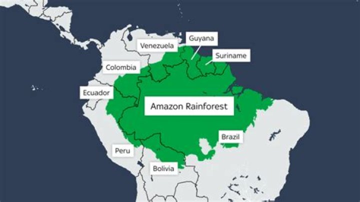 How often does Amazon have VTO?