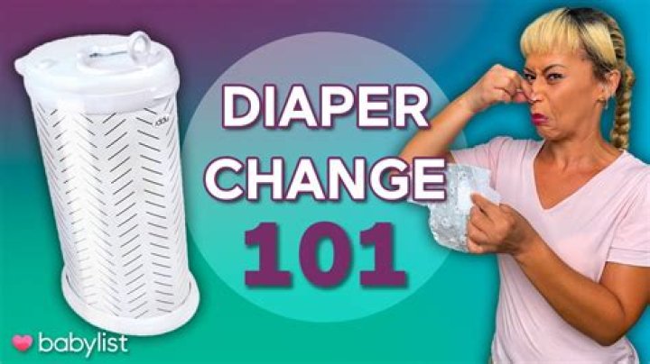 How often should I change my dog's diaper when in heat?