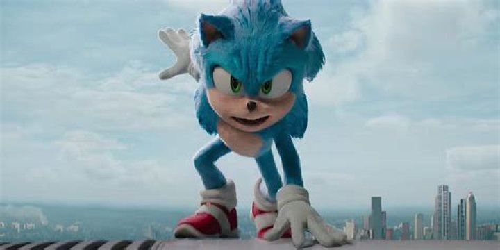 How old is Amy the Hedgehog in 2022?