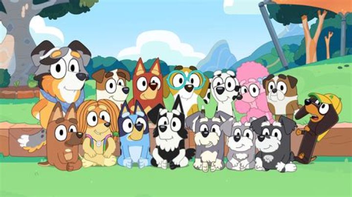How old is Bluey and Bingo?