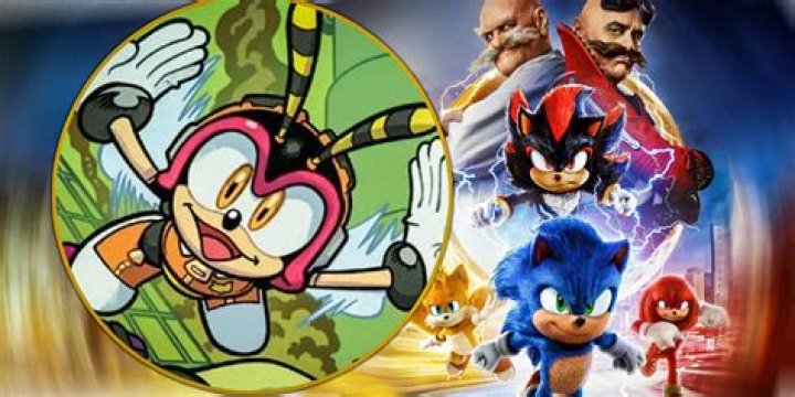 How old is Charmy Sonic?