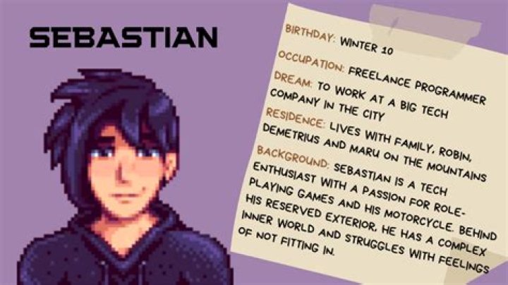 How old is Sebastian in Stardew Valley?