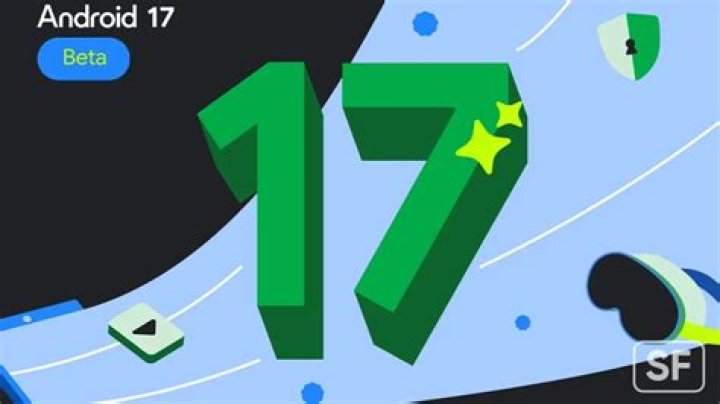 How old were Android 17 and 18?