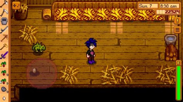 How rare is the dinosaur egg in Stardew Valley?