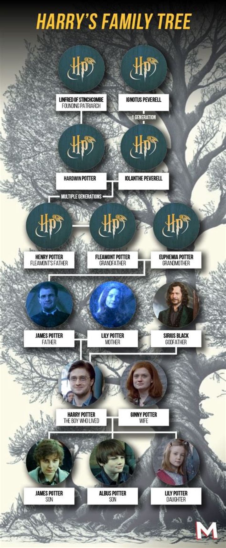 How rich is the Potter family?