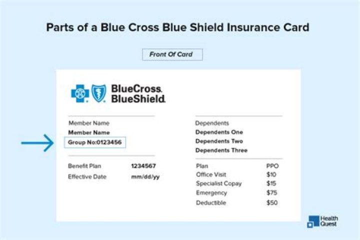 How to get my 1095 from blue cross blue shield?