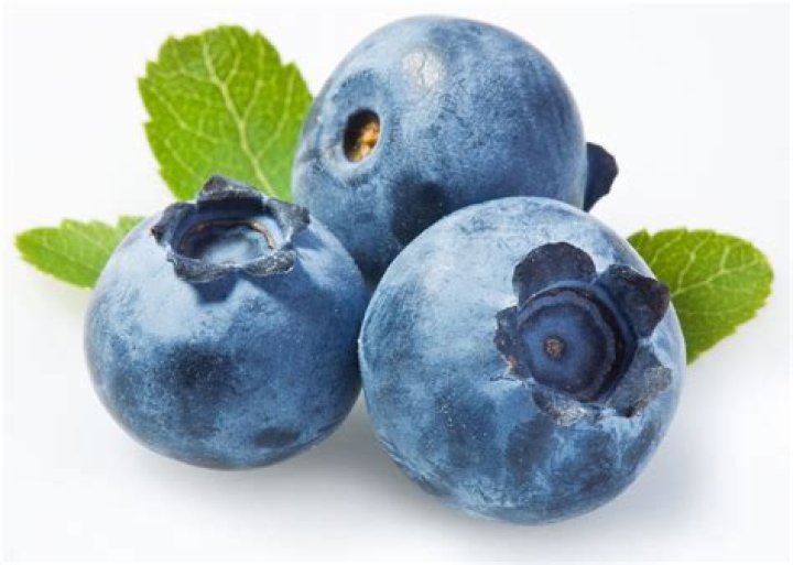 Is a blueberry a berry?