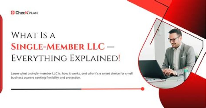 Is a single-member LLC a business entity?