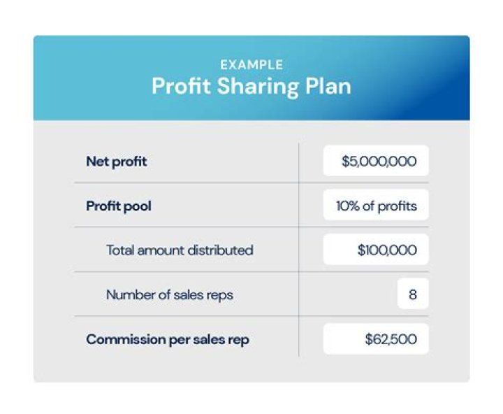 Is a solo 401k a profit-sharing plan?