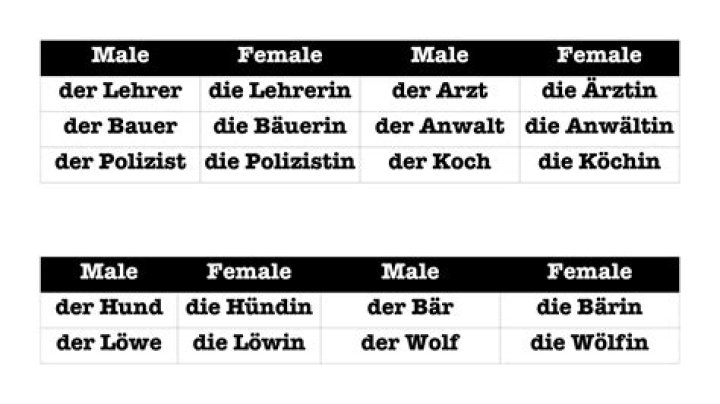Is cheese masculine or feminine in German?