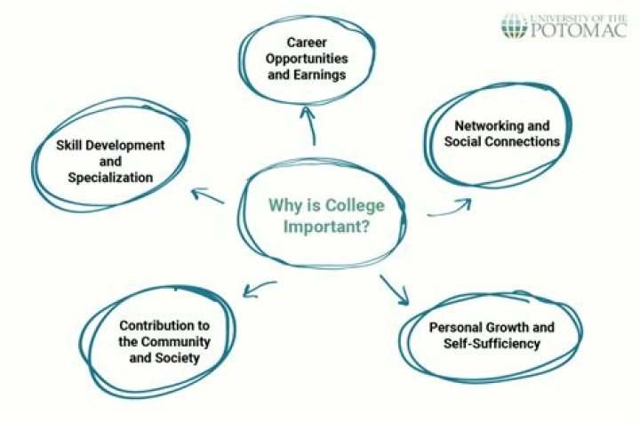 Is college important for a successful career?