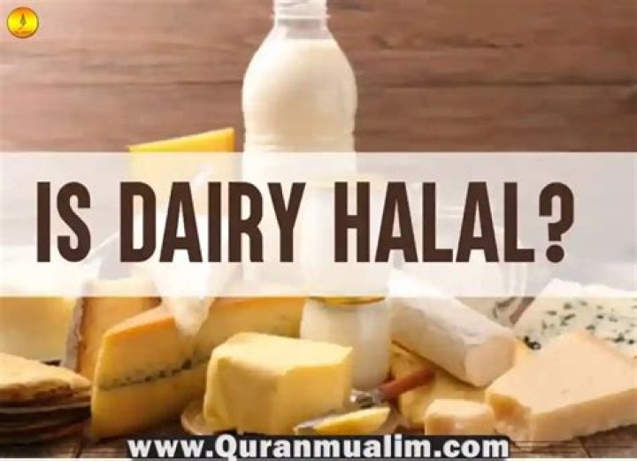 Is Dairy milk halal or haram?