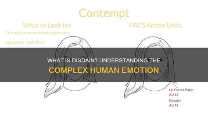 Is disdain an emotion?