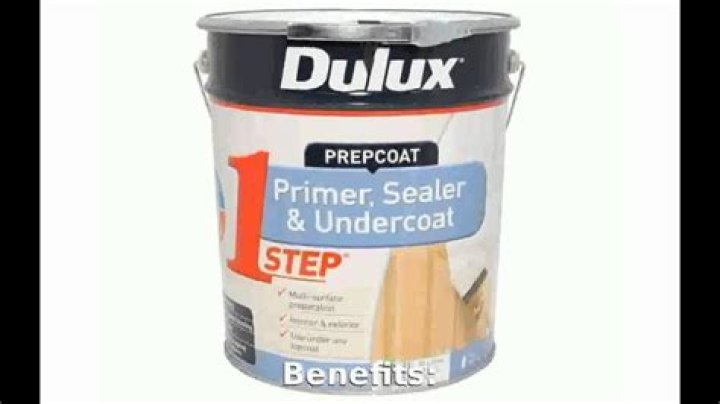Is Dulux Professional undercoat oil-based?