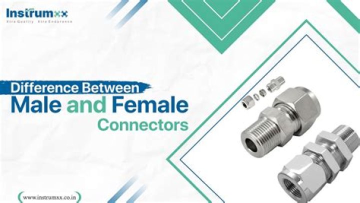 Is Ein male or female?