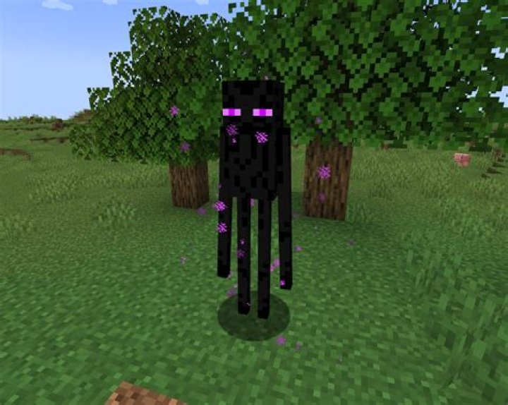 Is Enderman a word?