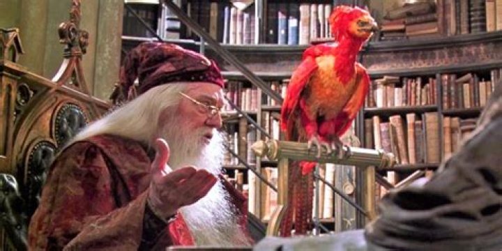 Is Fawkes a boy or girl Harry Potter?