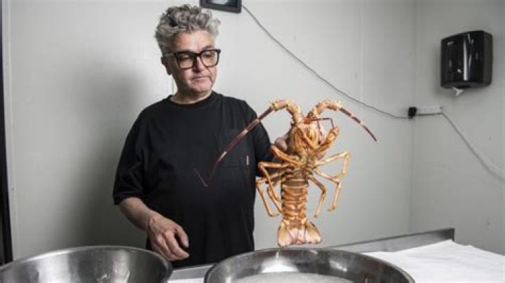 Is freezing a lobster humane?