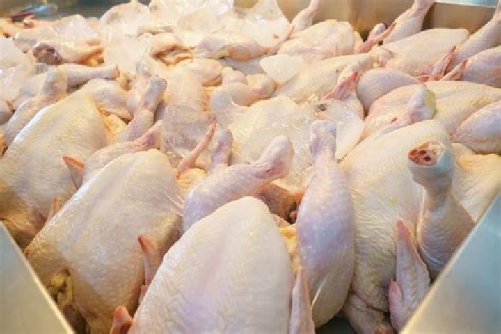 Is frozen chicken poisonous?