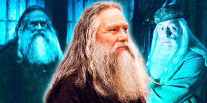 Is Grindelwald Dumbledore's brother?