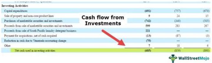 Is interest an investing cash flow?