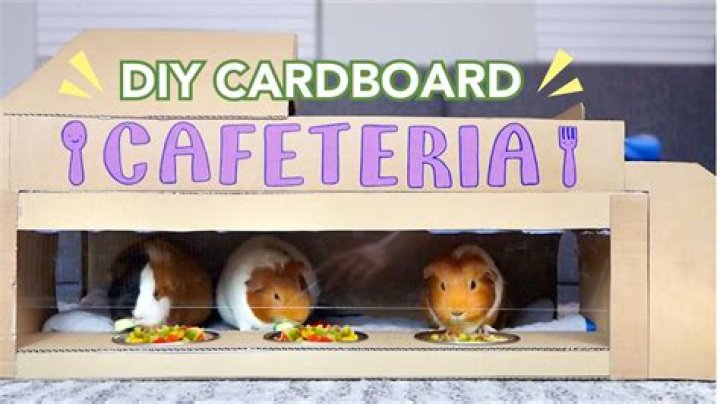 Is it OK for guinea pigs to eat cardboard?