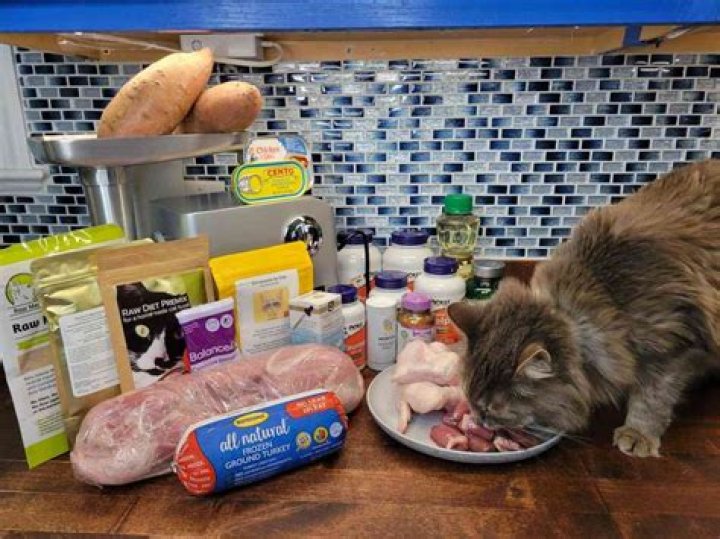 Is it OK to give cats crab meat?