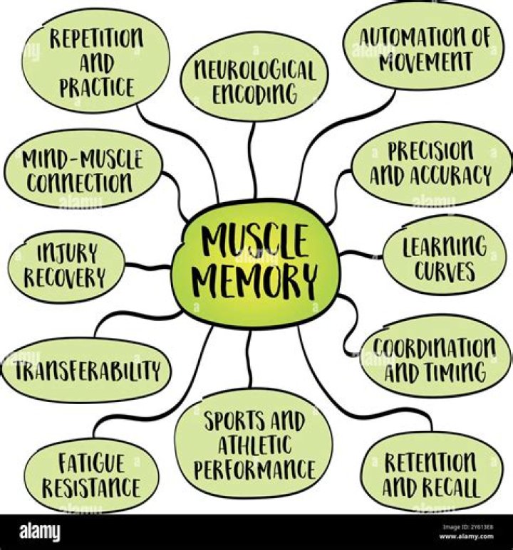 Is learning to drive muscle memory?