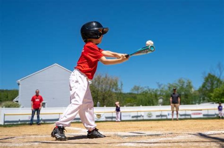 Is Little League baseball a non-profit?