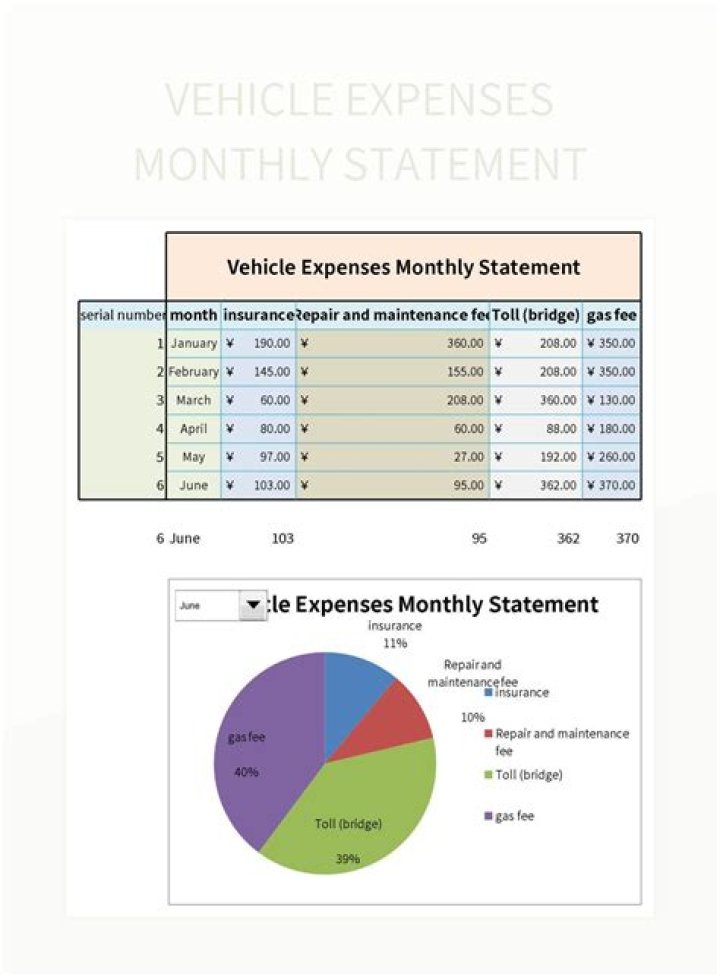 Is motor vehicle an expense in accounting?