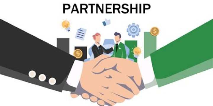 Is partnership good for a small business?