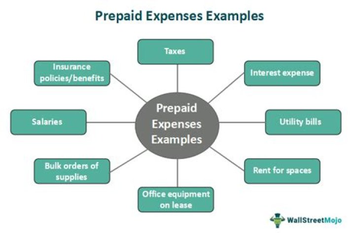 Is prepaid interest is current asset?