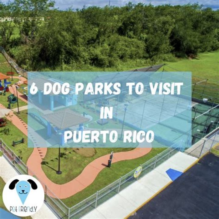 Is Puerto Rico dog friendly?