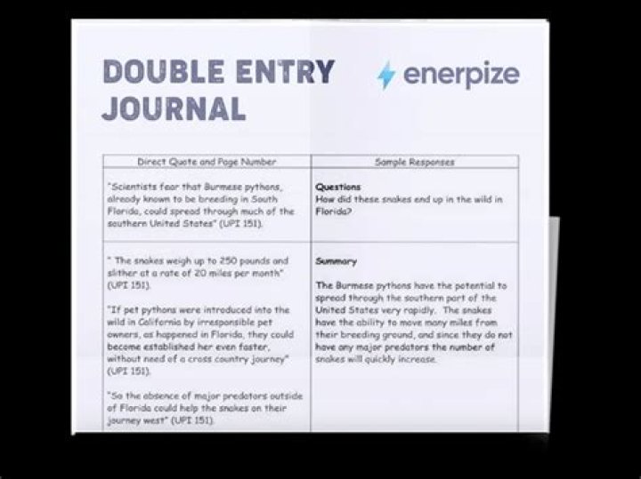 Is sales journal double entry?