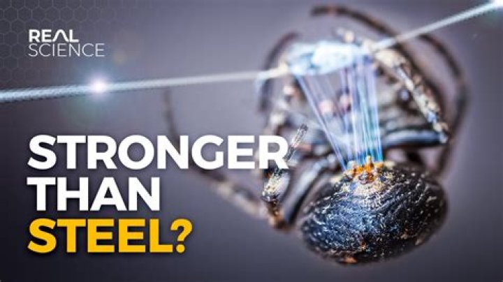 Is spider silk as strong as steel?