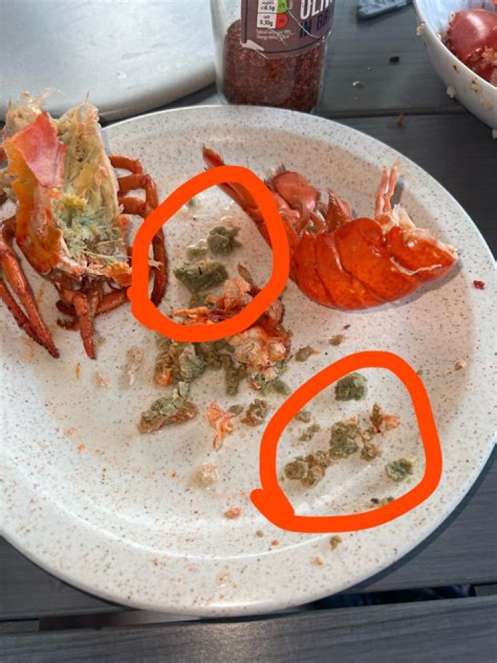 Is the green stuff in crabs poop?