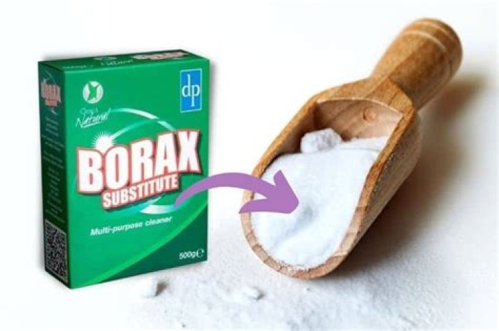 Is there a substitute for borax?