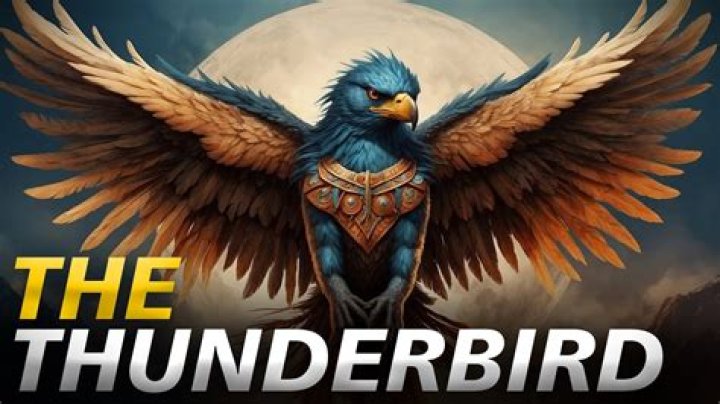 Is Thunderbird a roamer?