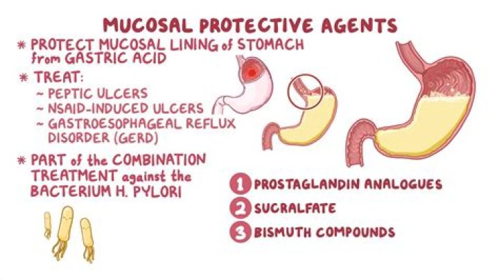 Is Tuna good for stomach lining?